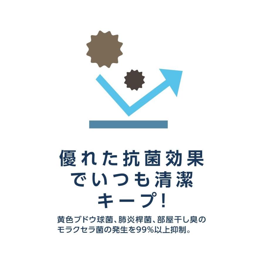 ハッピーデイズ HappyDays 洗える消臭防水シート L 犬 猫 消臭 抗菌