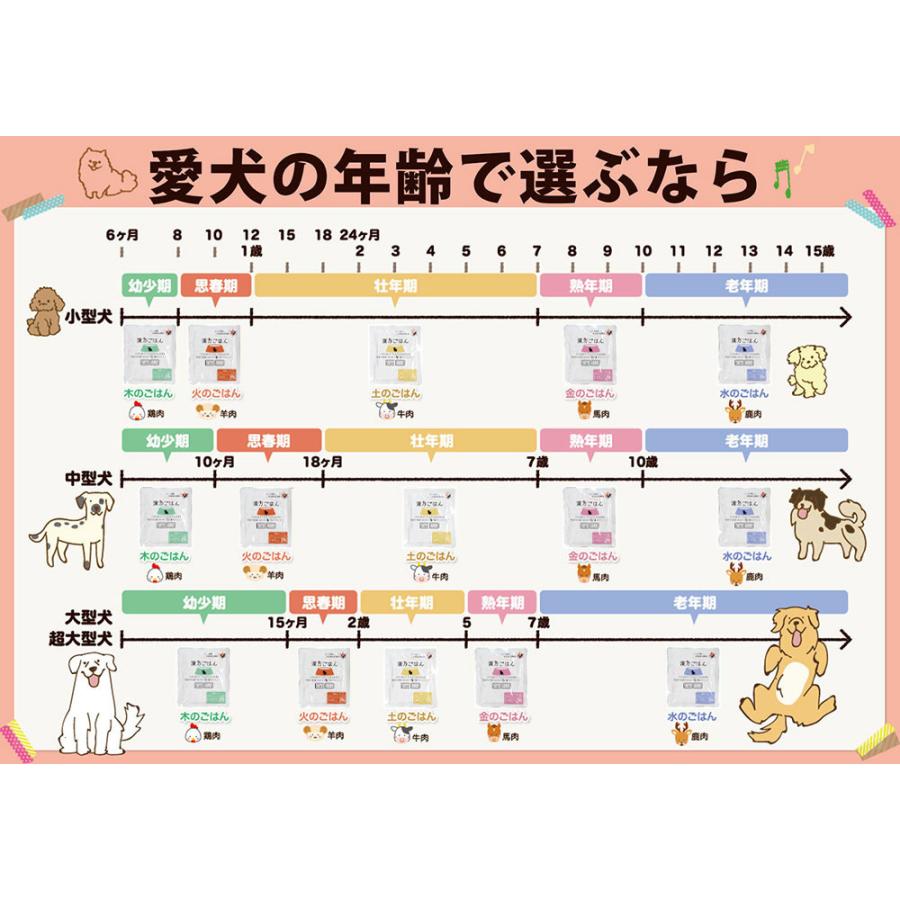 漢方ごはん改めげんかつごはん レトルトタイプ 金（馬肉ベース） 80g ドッグフード ウェットフード 無添加 |  | 03