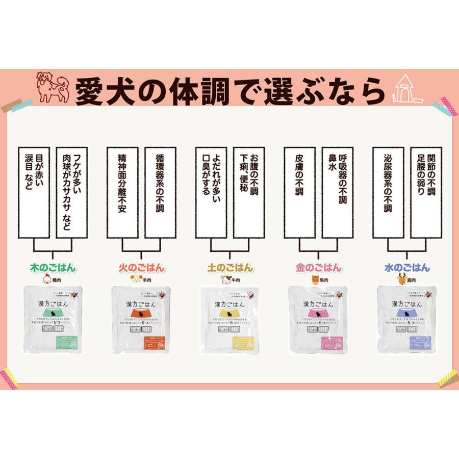 漢方ごはん改めげんかつごはん レトルトタイプ 金（馬肉ベース） 80g ドッグフード ウェットフード 無添加 |  | 05