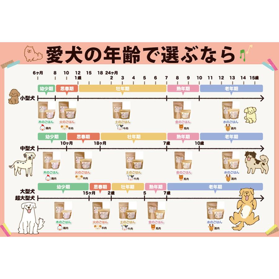 漢方ごはん改めげんかつごはん ドライタイプ 金（馬肉ベース） 200g
