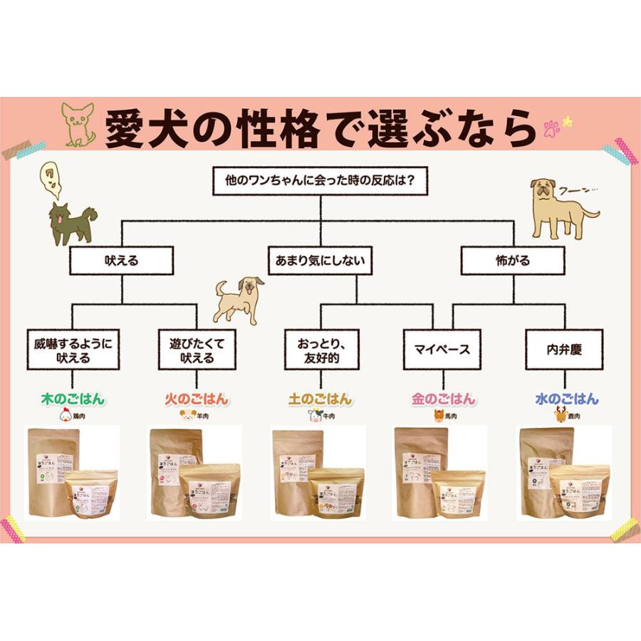 漢方ごはん改めげんかつごはん ドライタイプ 木（鶏肉ベース） 400g ドッグフード 無添加 総合栄養食｜koji｜04