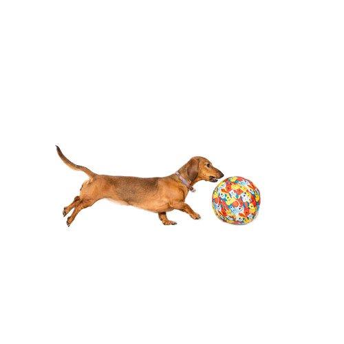 DADWAY（ダッドウェイ） ペットブルーン Petbloon ドッグ バルーン 犬