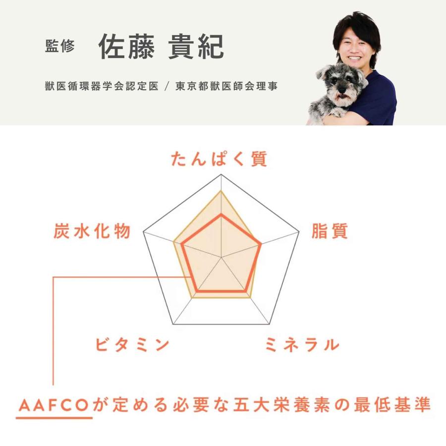 ペトコトフーズ PETOKOTO ウェットドッグフード ビーフ 100g×12個 国産