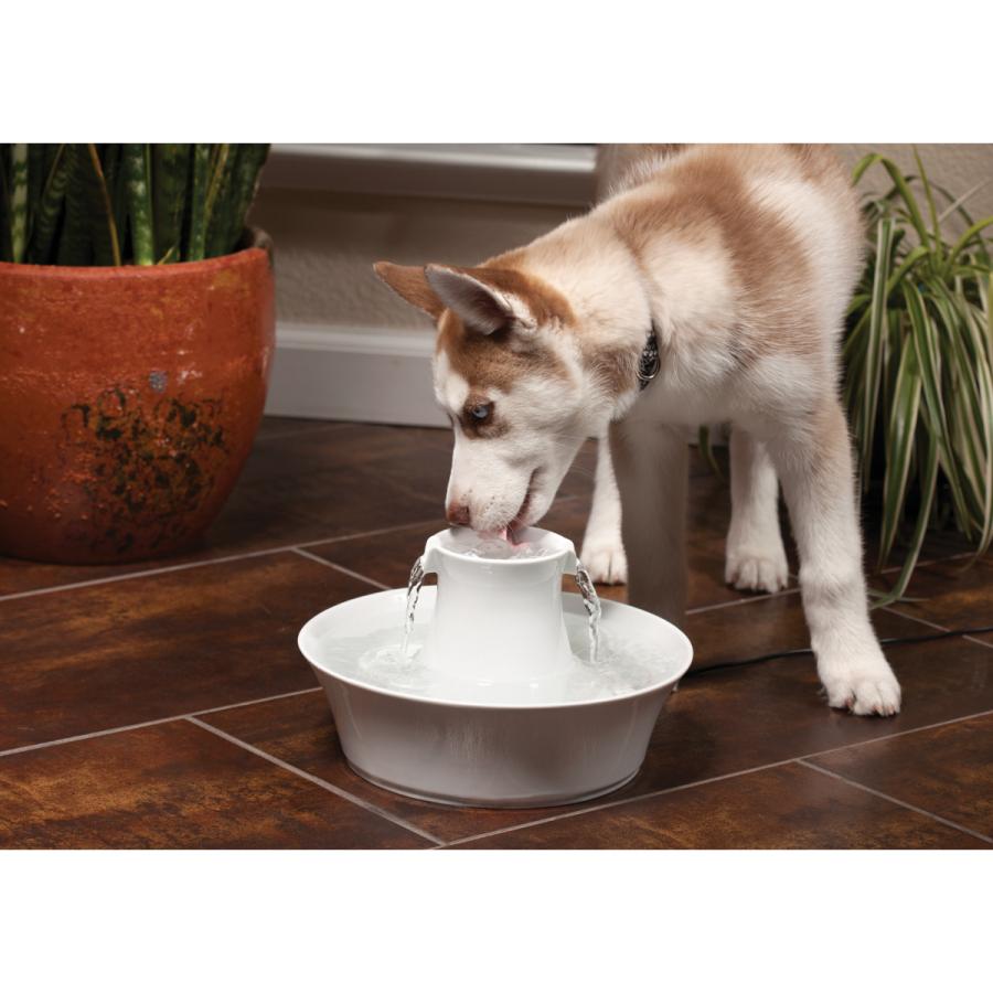 PetSafe ペットセーフ ドリンクウェル アバロン セラミック ペット