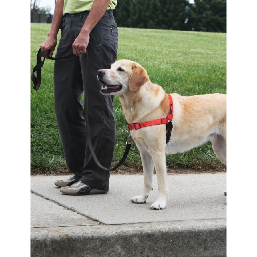 PetSafe ペットセーフ デラックス イージーウォークハーネス M/L