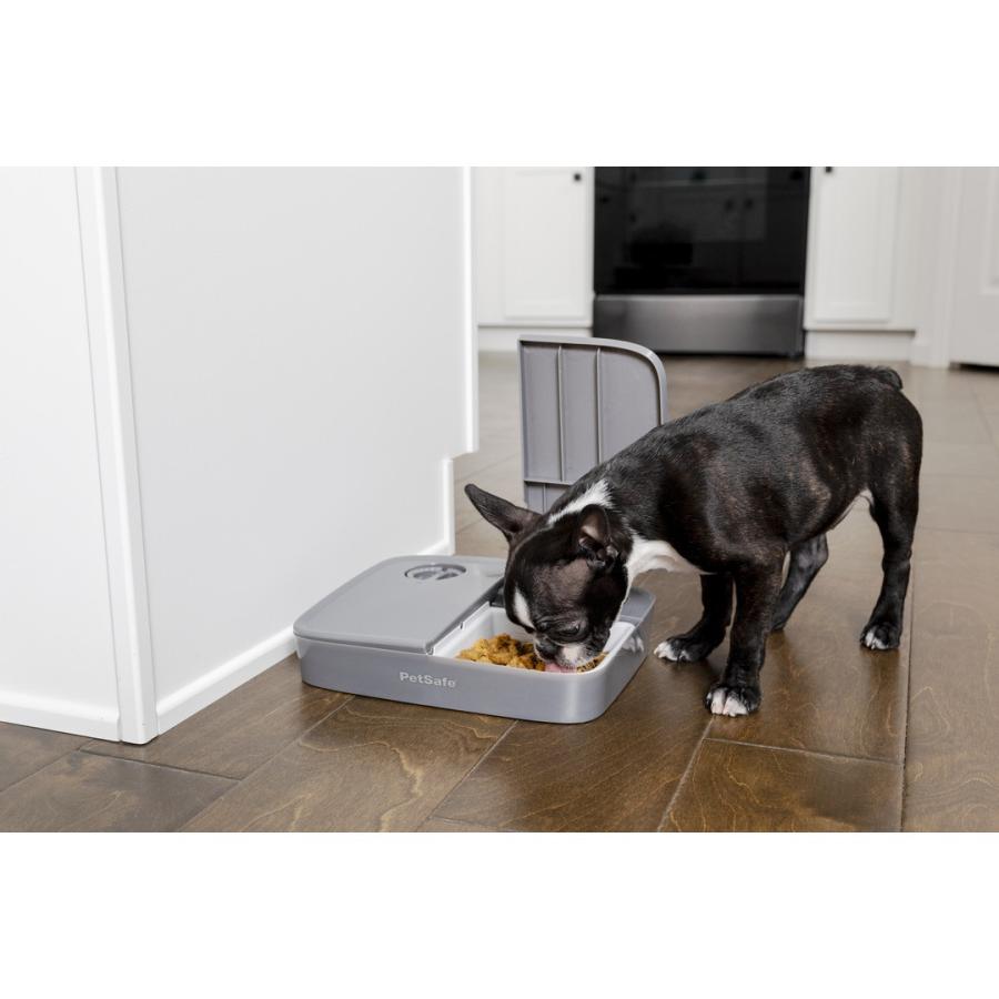 PetSafe ペットセーフ おるすばんフィーダー 2食分【送料無料