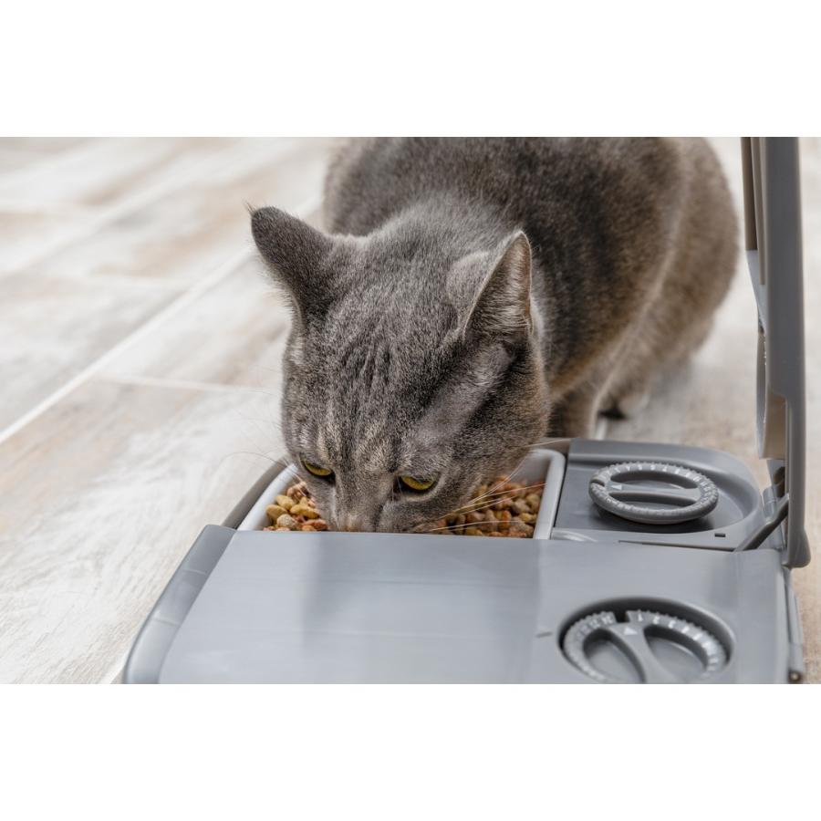 PetSafe ペットセーフ おるすばんフィーダー 2食分【送料無料