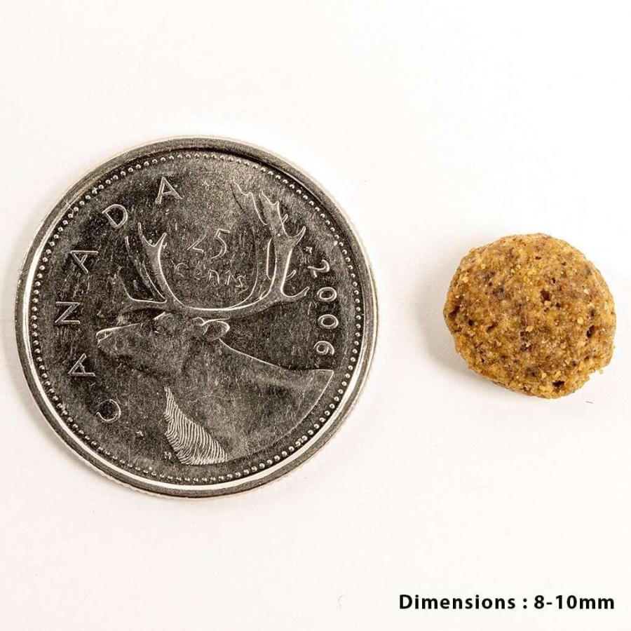 ペットカインド トライプドライ ウェイトマネージメント SAP ラム 小粒