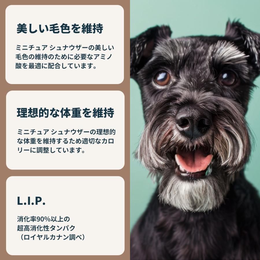ロイヤルカナン（ROYAL CANIN） 犬 ドッグフード ミニチュア