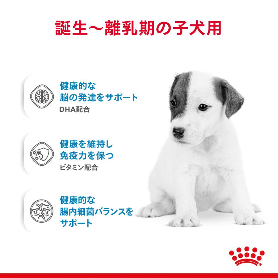 ロイヤルカナン（ROYAL CANIN） 犬 ベビードッグ ミルク 生後すぐから