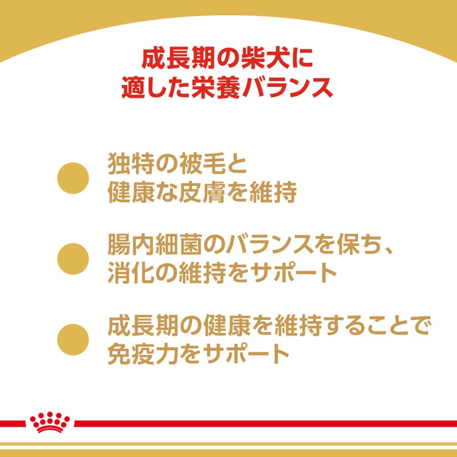 ロイヤルカナン（ROYAL CANIN） 犬 ドッグフード 柴犬専用フード 子犬