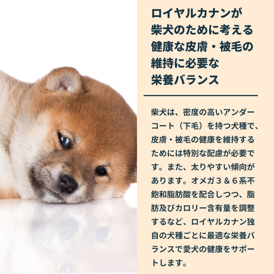 ロイヤルカナン（ROYAL CANIN） 犬 ドッグフード 柴犬専用フード 子犬