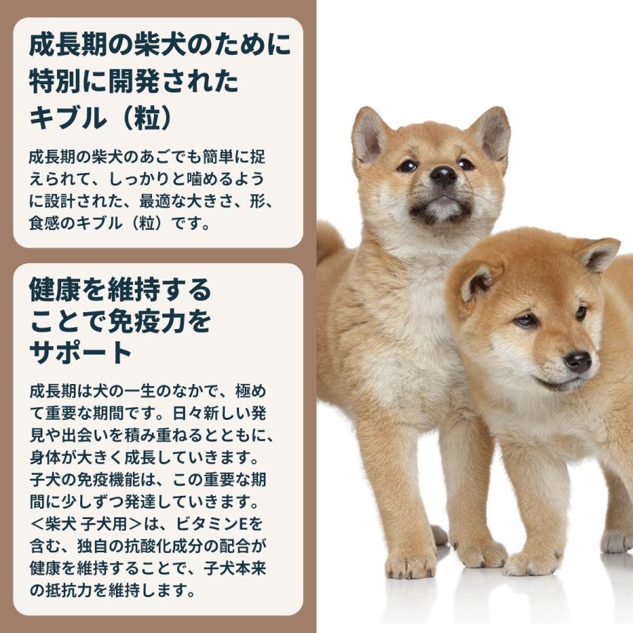 ロイヤルカナン（ROYAL CANIN） 犬 ドッグフード 柴犬専用フード 子犬
