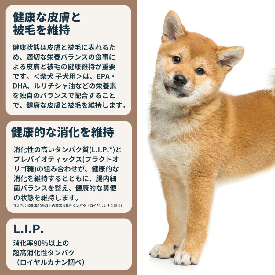 ロイヤルカナン　子犬用　柴犬 ブリード ヘルス ニュートリション ロイヤルカナン BHN 柴犬 子犬用