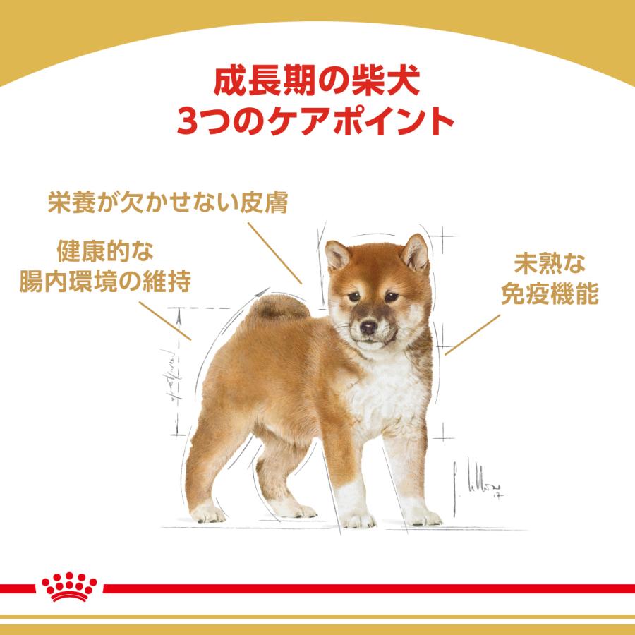 ロイヤルカナン（ROYAL CANIN） 犬 ドッグフード 柴犬専用フード 子犬