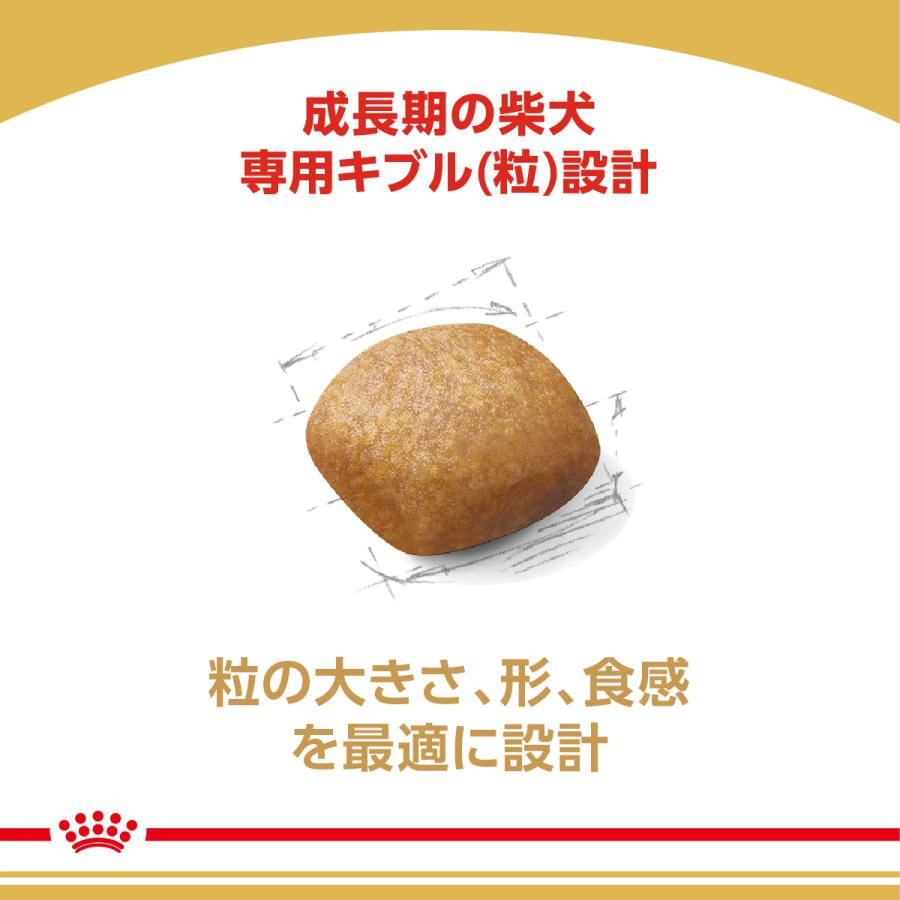 ロイヤルカナン（ROYAL CANIN） 犬 ドッグフード 柴犬専用フード 子犬