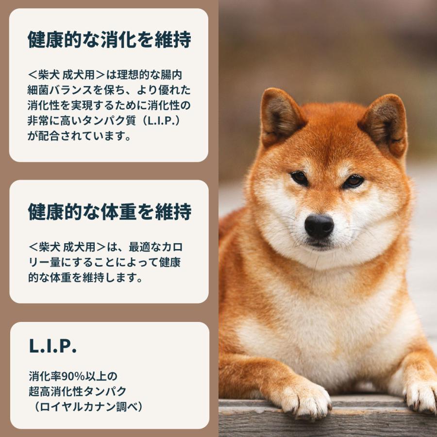 ロイヤルカナン（ROYAL CANIN） 犬 ドッグフード 柴犬専用フード 成犬