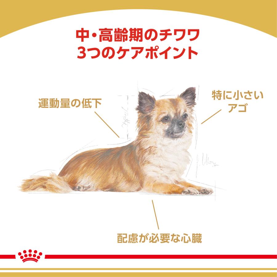 ロイヤルカナン（ROYAL CANIN） 犬 ドッグフード チワワ専用フード 中