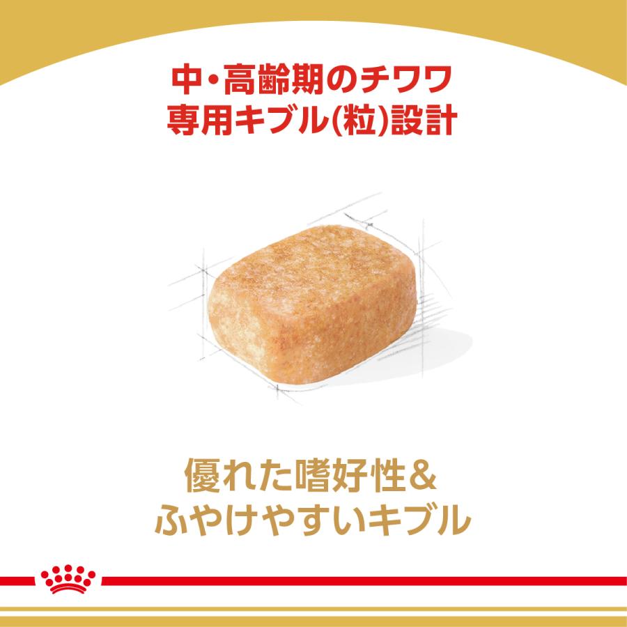 ロイヤルカナン（ROYAL CANIN） 犬 ドッグフード チワワ専用フード 中