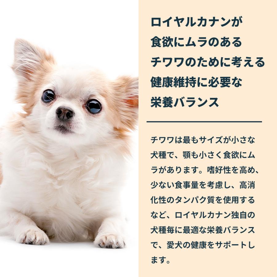ロイヤルカナン（ROYAL CANIN） 犬 ドッグフード チワワ専用フード 中