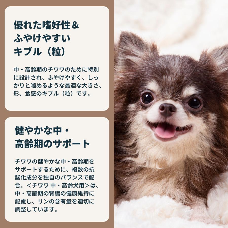 ロイヤルカナン（ROYAL CANIN） 犬 ドッグフード チワワ専用フード 中