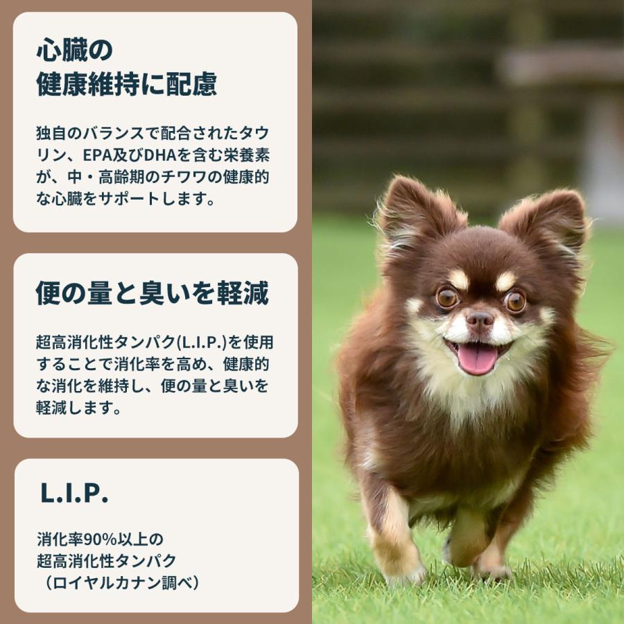 ロイヤルカナン（ROYAL CANIN） 犬 ドッグフード チワワ専用フード 中