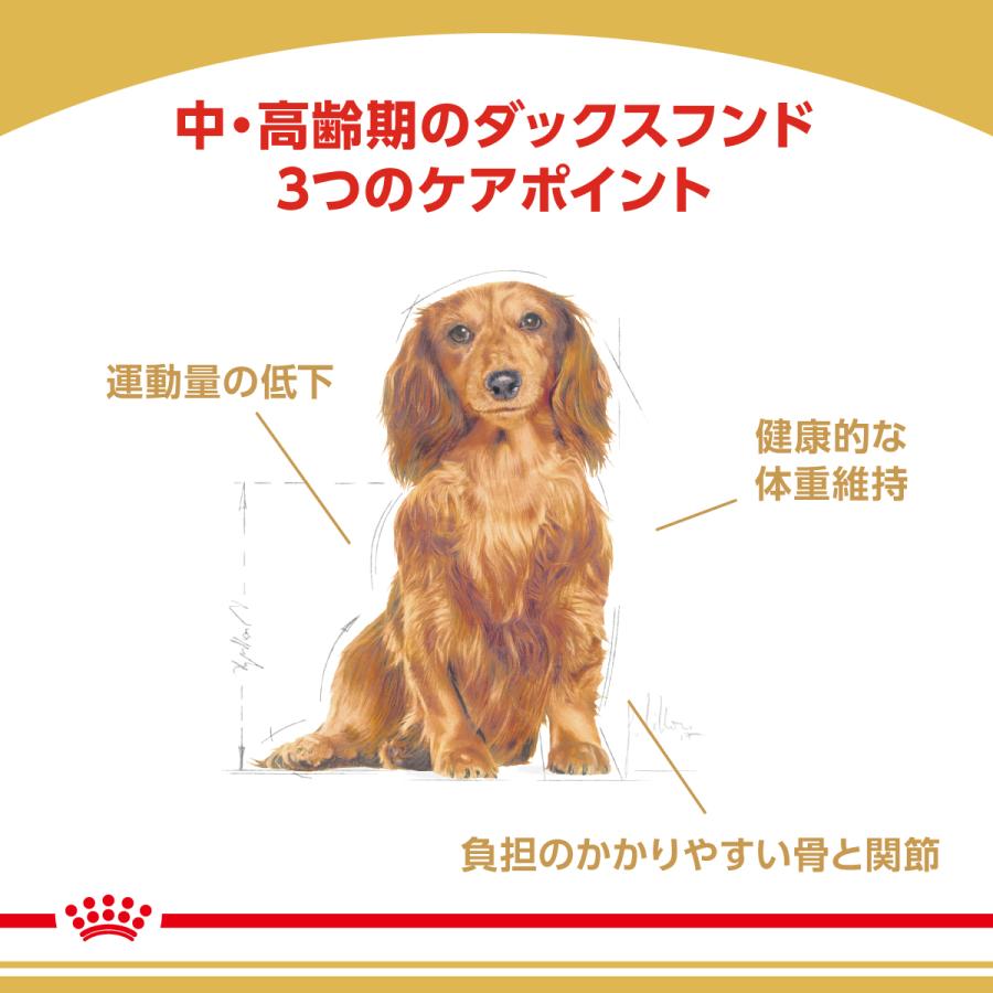 ロイヤルカナン 犬 ドッグフード ダックスフンド専用フード 中 高齢犬用 800g×10個_2