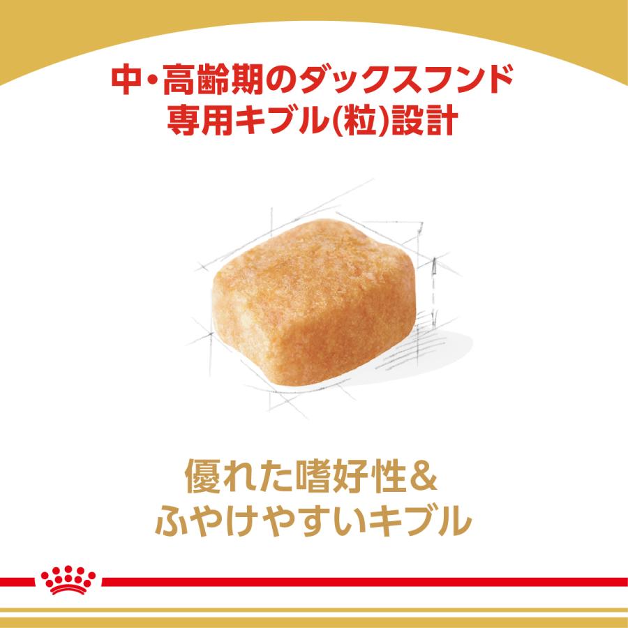 ロイヤルカナン 犬 ドッグフード ダックスフンド専用フード 中 高齢犬用 800g×10個_3