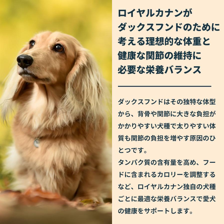 ロイヤルカナン 犬 ドッグフード ダックスフンド専用フード 中 高齢犬用 800g×10個_4