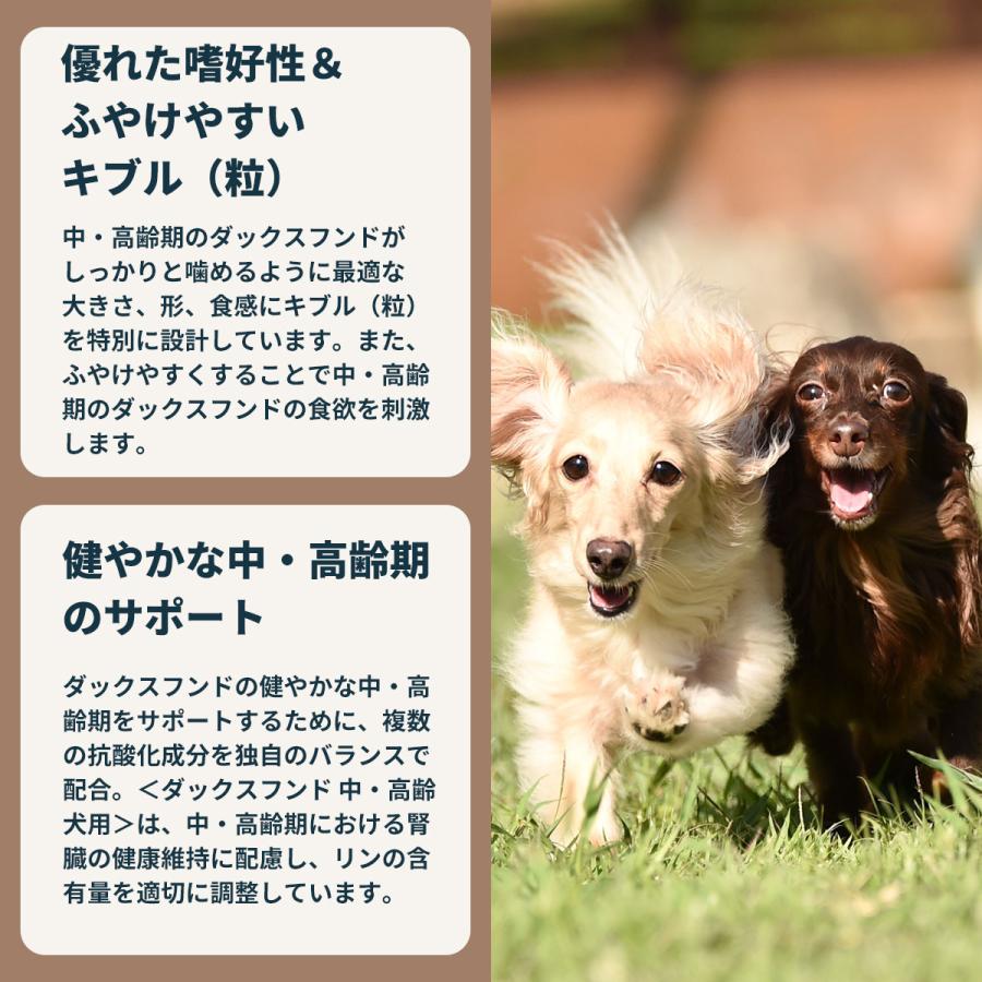 ロイヤルカナン 犬 ドッグフード ダックスフンド専用フード 中 高齢犬用 800g×10個_5