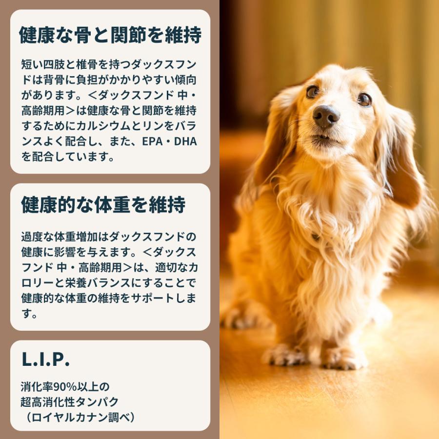 ロイヤルカナン 犬 ドッグフード ダックスフンド専用フード 中 高齢犬用 800g×10個_6