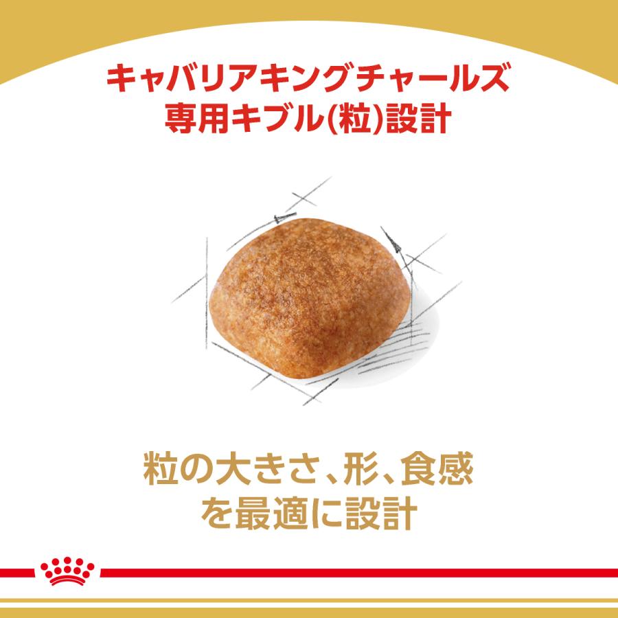 ロイヤルカナン（ROYAL CANIN） 犬 ドッグフード キャバリア キング