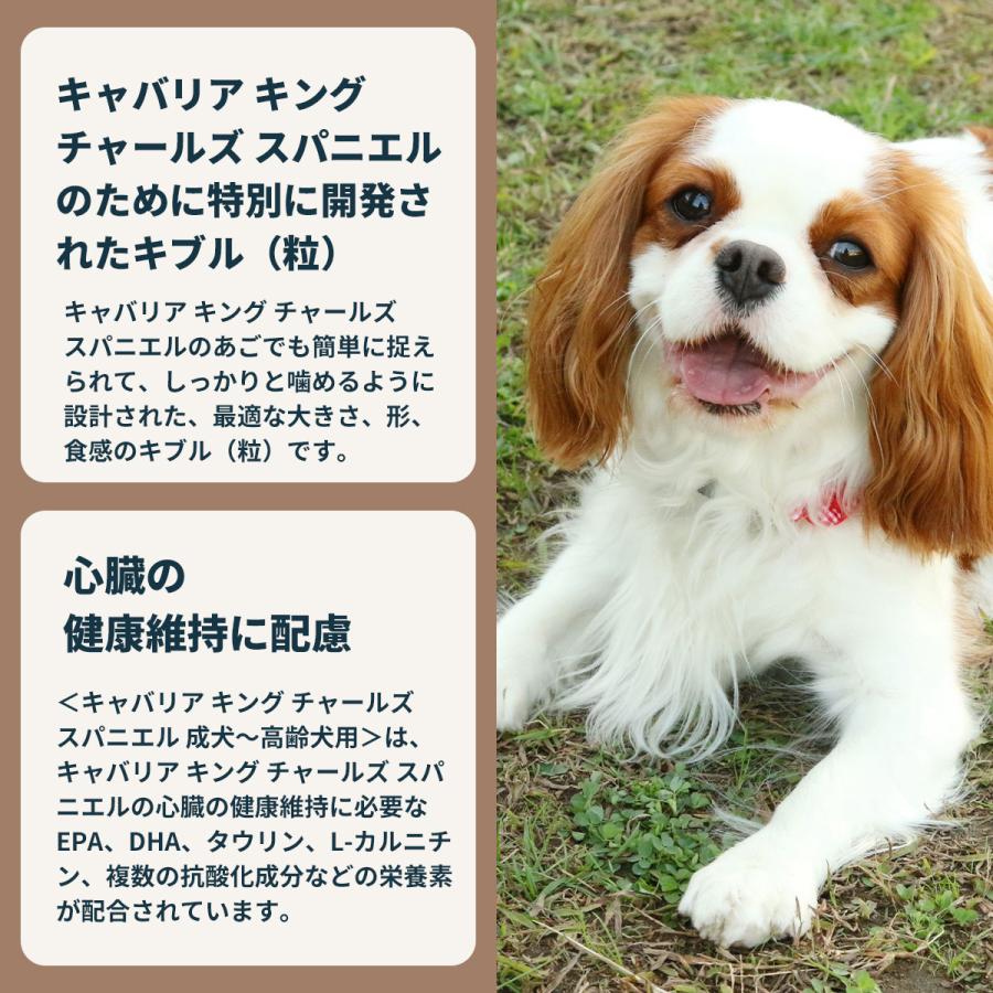 ロイヤルカナン（ROYAL CANIN） 犬 ドッグフード キャバリア キング