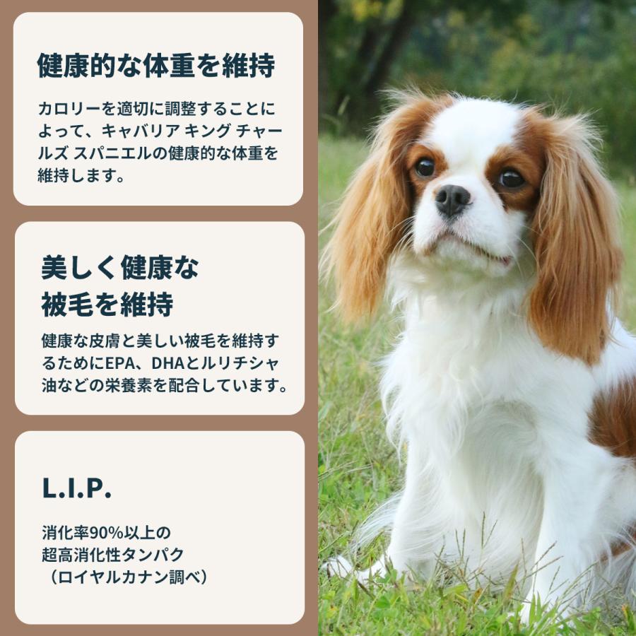 ロイヤルカナン（ROYAL CANIN） 犬 ドッグフード キャバリア キング