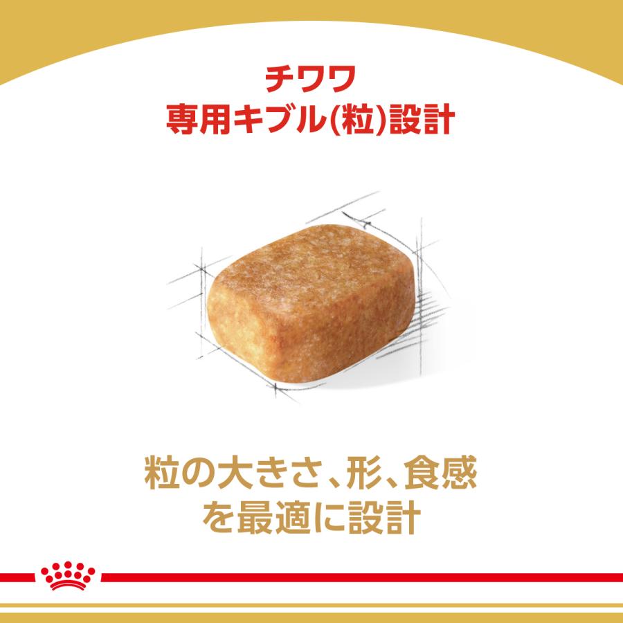 ロイヤルカナン（ROYAL CANIN） 犬 ドッグフード チワワ専用フード 成