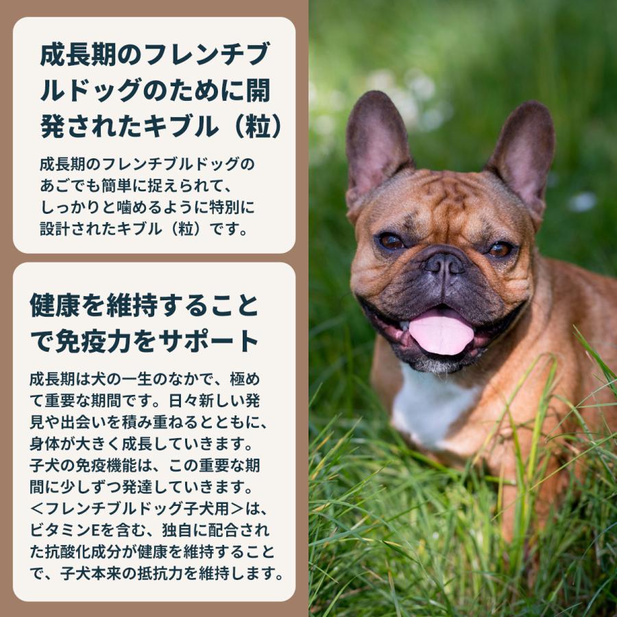 ロイヤルカナン（ROYAL CANIN） 犬 ドッグフード フレンチブルドッグ