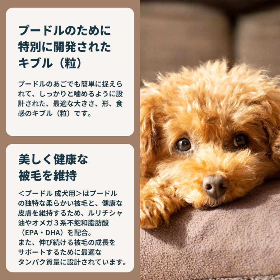 ロイヤルカナン（ROYAL CANIN） 犬 ドッグフード プードル専用フード
