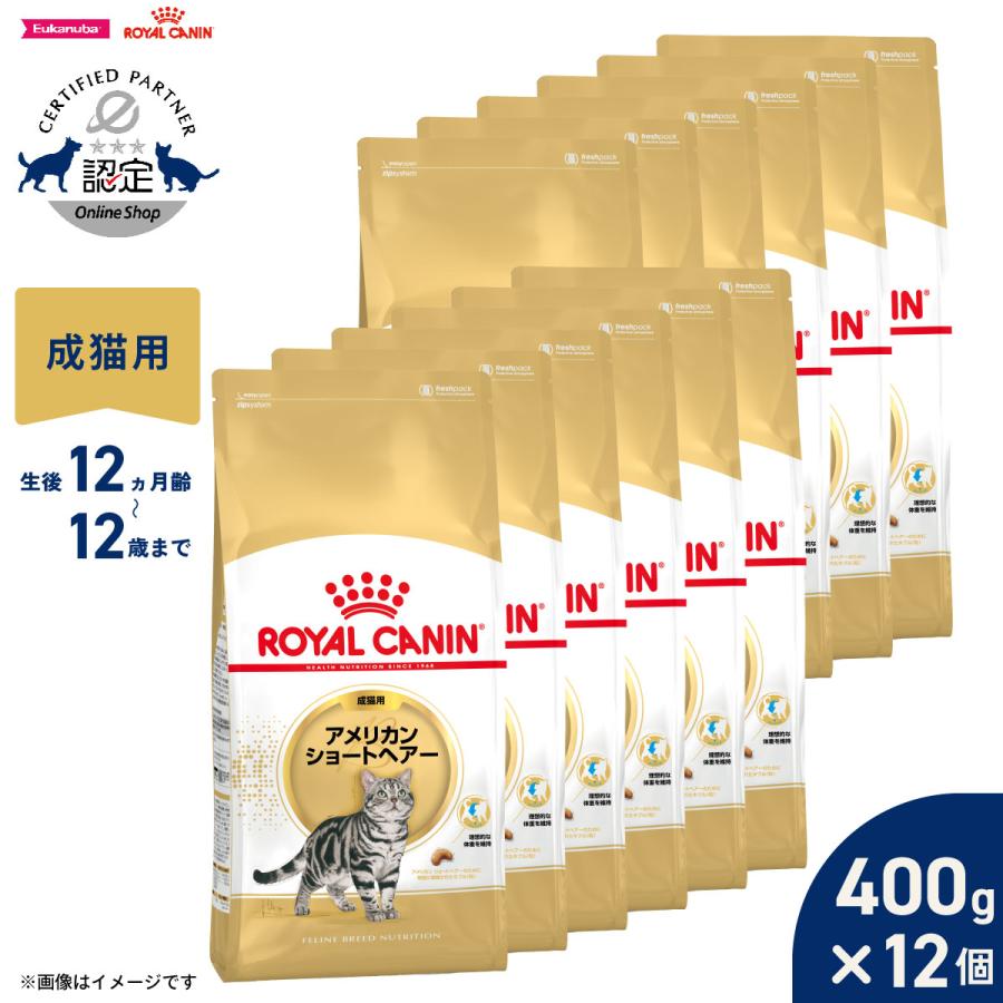 ロイヤルカナン（ROYAL CANIN） 猫 キャットフード アメリカンショート