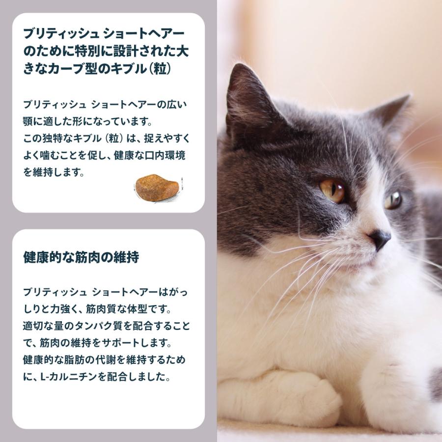 ロイヤルカナン（ROYAL CANIN） 猫 キャットフード ブリティッシュ