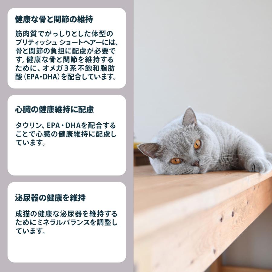ロイヤルカナン（ROYAL CANIN） 猫 キャットフード ブリティッシュ