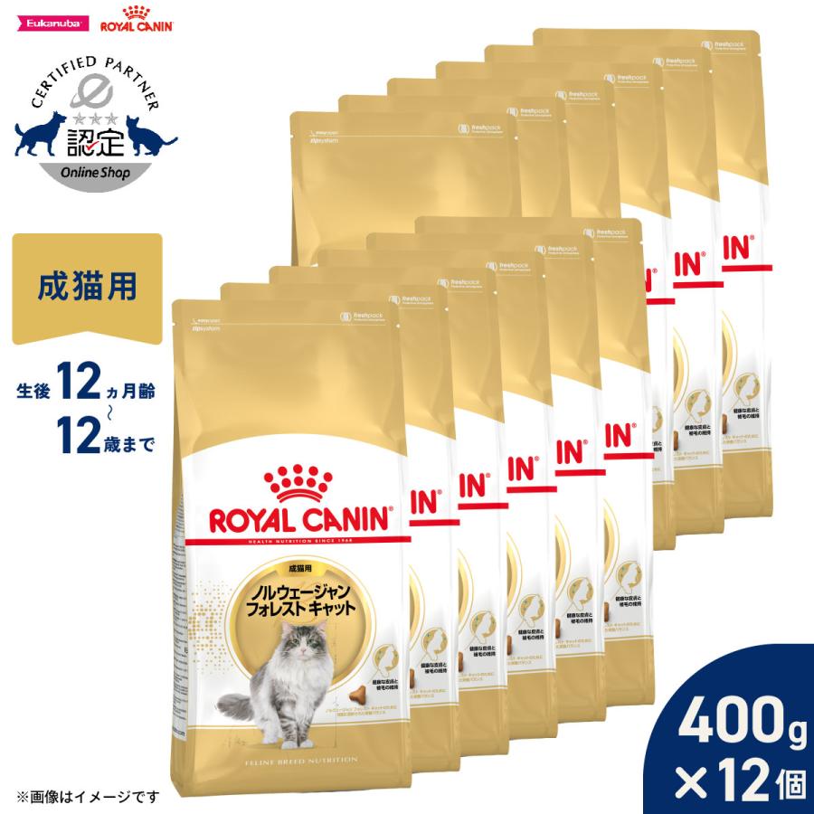 ロイヤルカナン（ROYAL CANIN） 猫 キャットフード ノルウェージャン