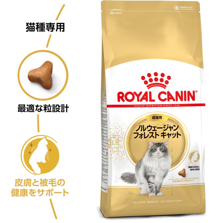 ロイヤルカナン 猫 キャットフード ノルウェージャン フォレストキャット専用フード 成猫用 400g×12袋_1