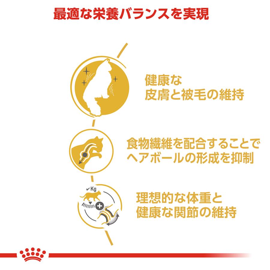 ロイヤルカナン 猫 キャットフード ノルウェージャン フォレストキャット専用フード 成猫用 400g×12袋_4