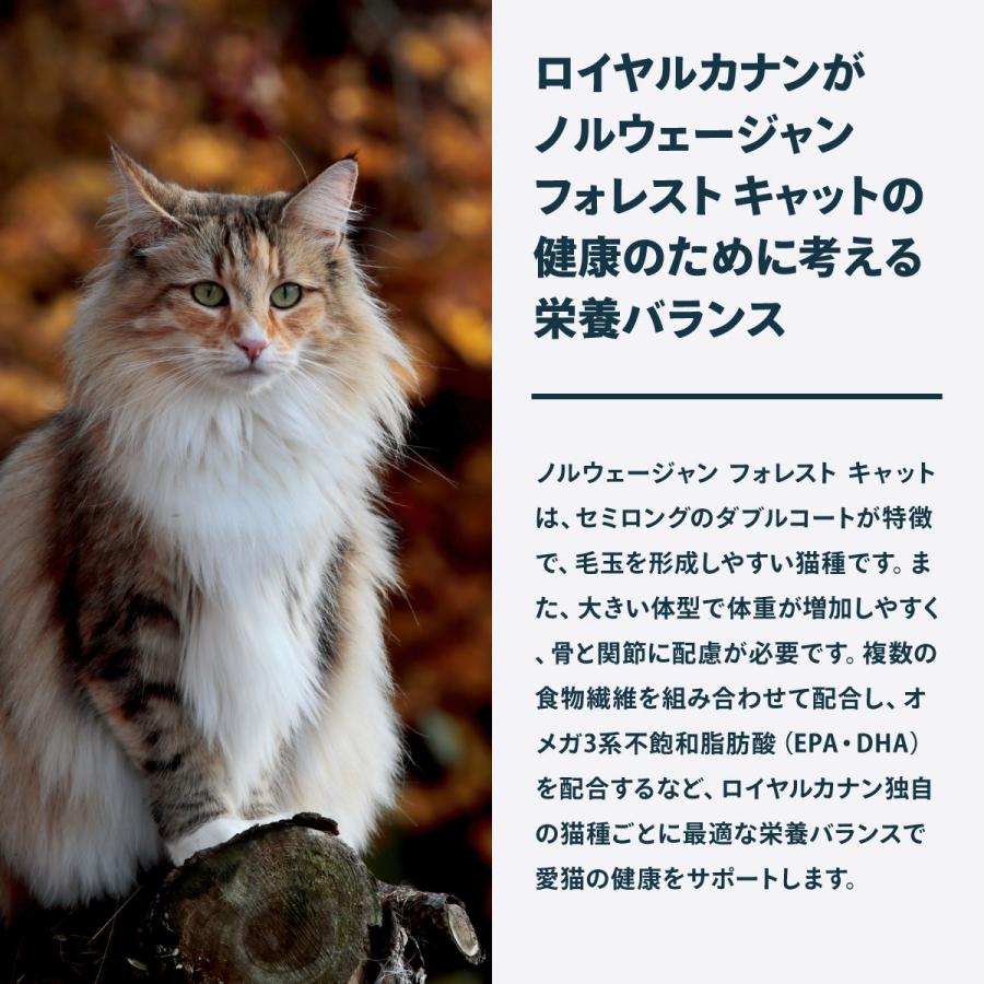 ロイヤルカナン（ROYAL CANIN） 猫 キャットフード ノルウェージャン