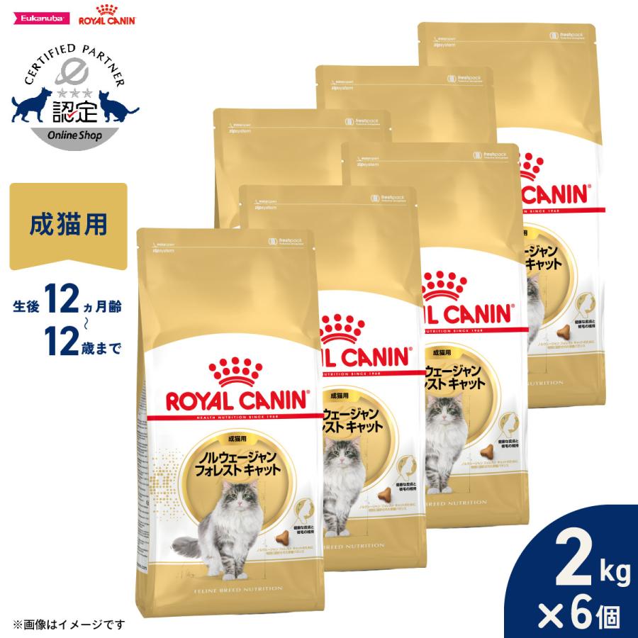 ロイヤルカナン 猫 キャットフード ノルウェージャン フォレストキャット専用フード 成猫用 2kg×6個（Yahoo!・コジコジ）