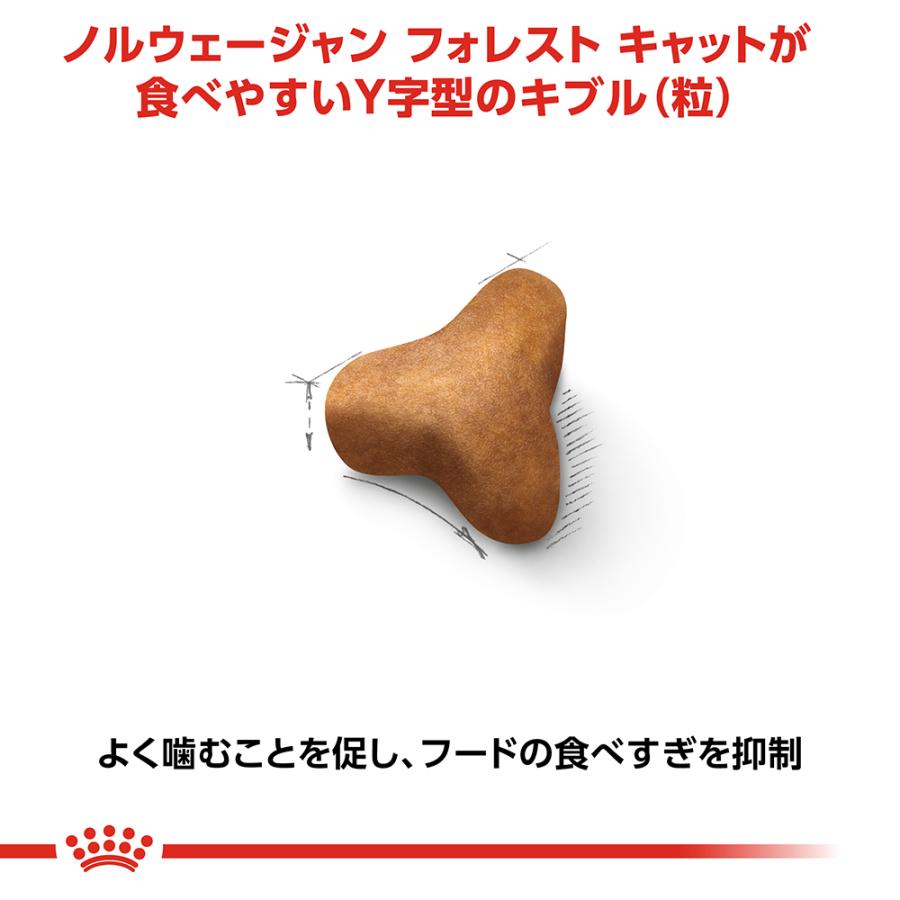 ロイヤルカナン（ROYAL CANIN） 猫 キャットフード ノルウェージャン