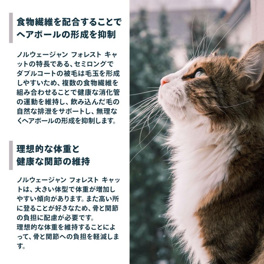ロイヤルカナン（ROYAL CANIN） 猫 キャットフード ノルウェージャン