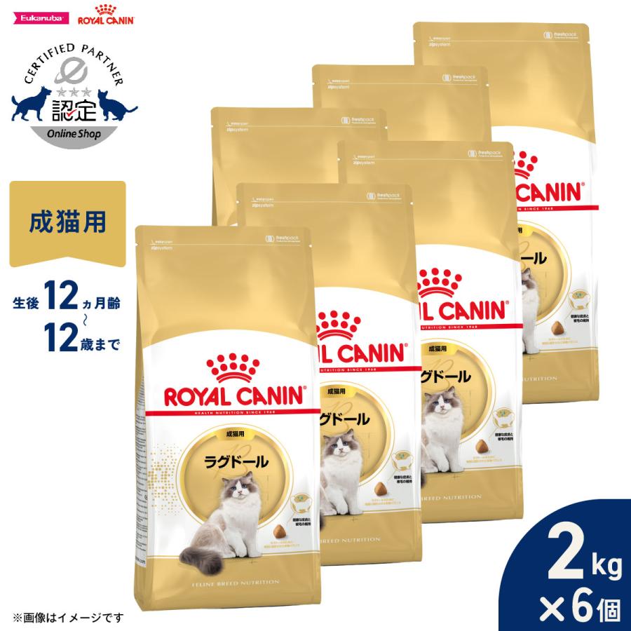 ロイヤルカナン（ROYAL CANIN） 猫 キャットフード ラグドール専用