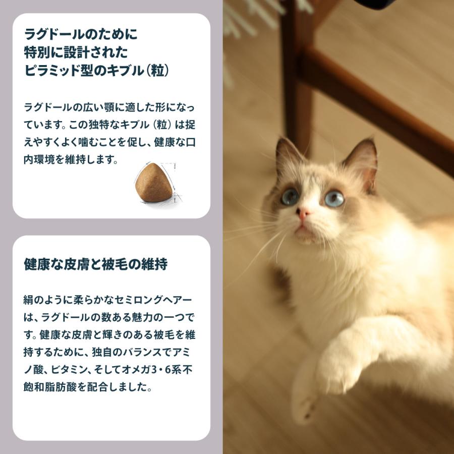 ロイヤルカナン（ROYAL CANIN） 猫 キャットフード ラグドール専用