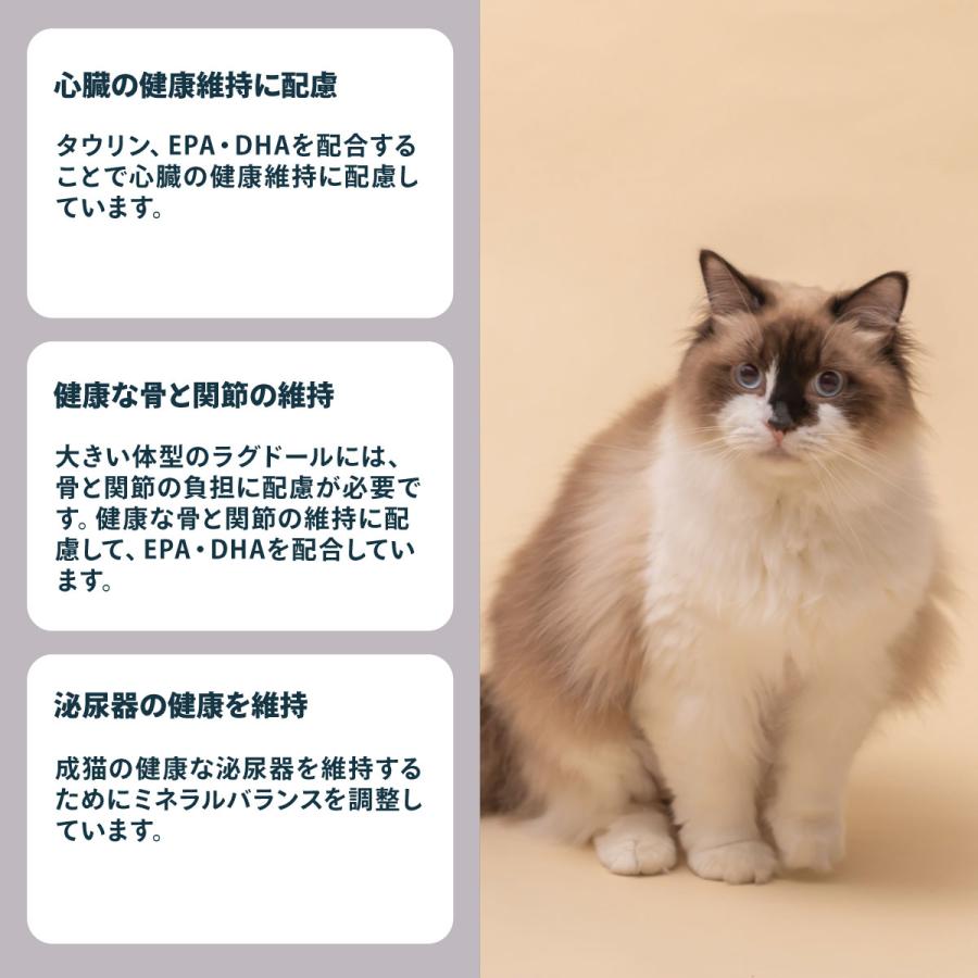 ロイヤルカナン（ROYAL CANIN） 猫 キャットフード ラグドール専用